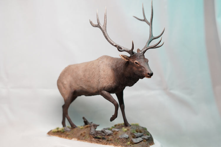 Custom Orders and Commissions
