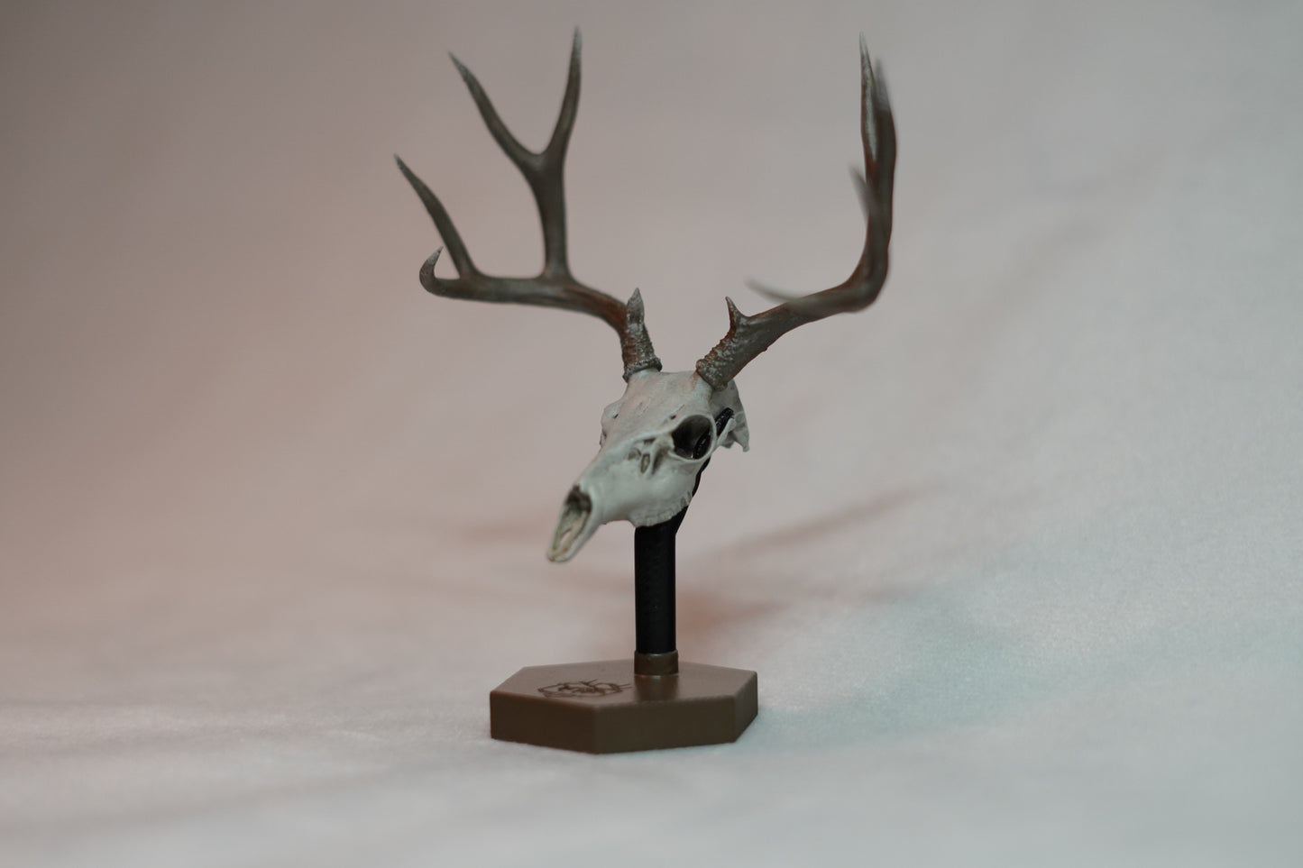 Custom Deer Buck Euro Mount