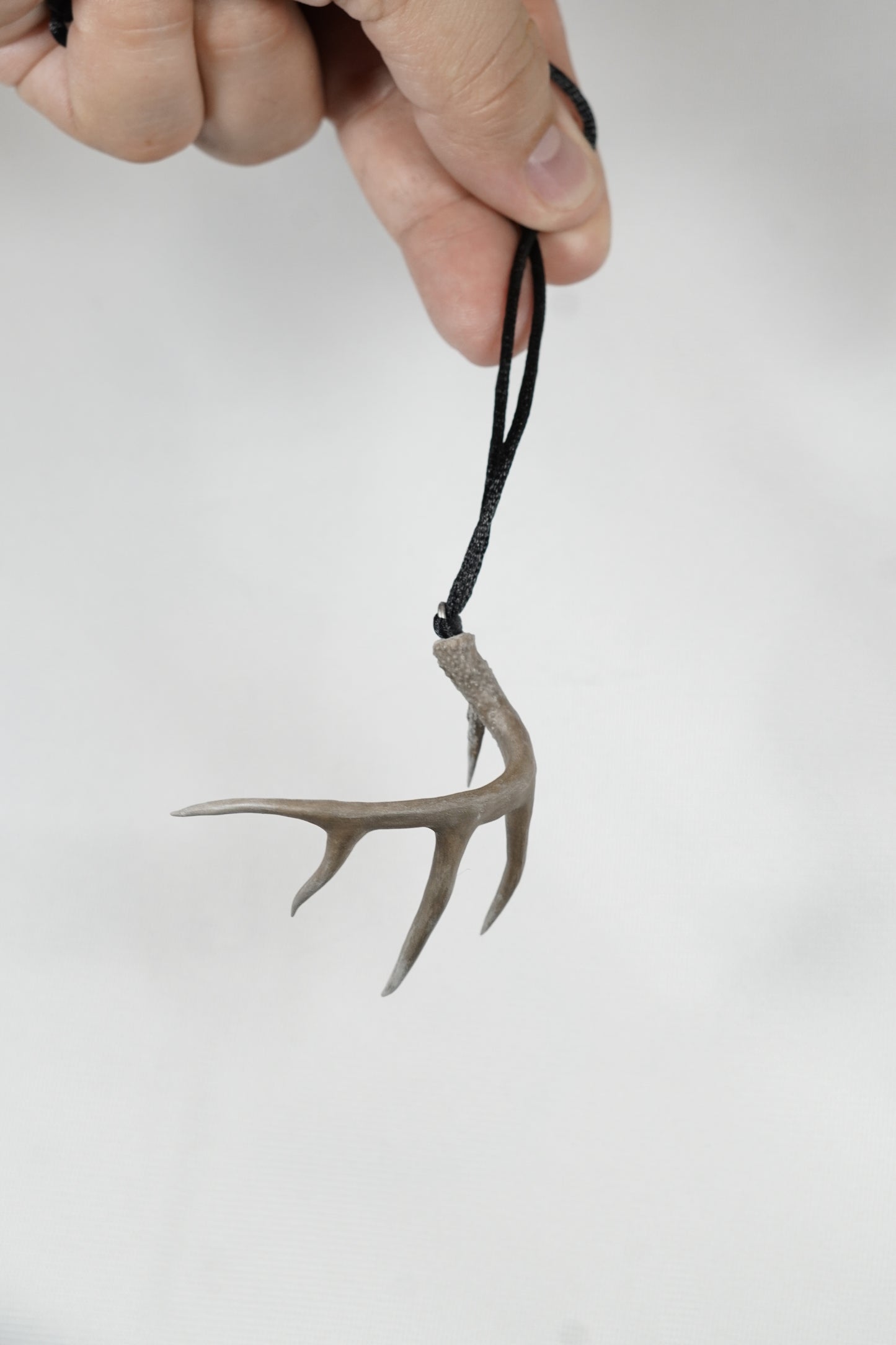 Drop Tine - Eastern Whitetail Deer