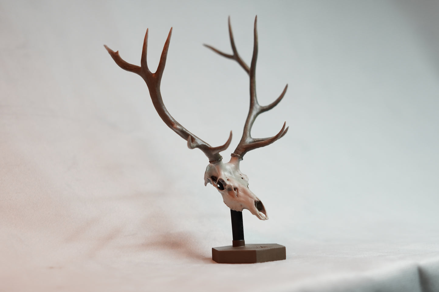 Custom Bull Elk/Stag Euro Mount