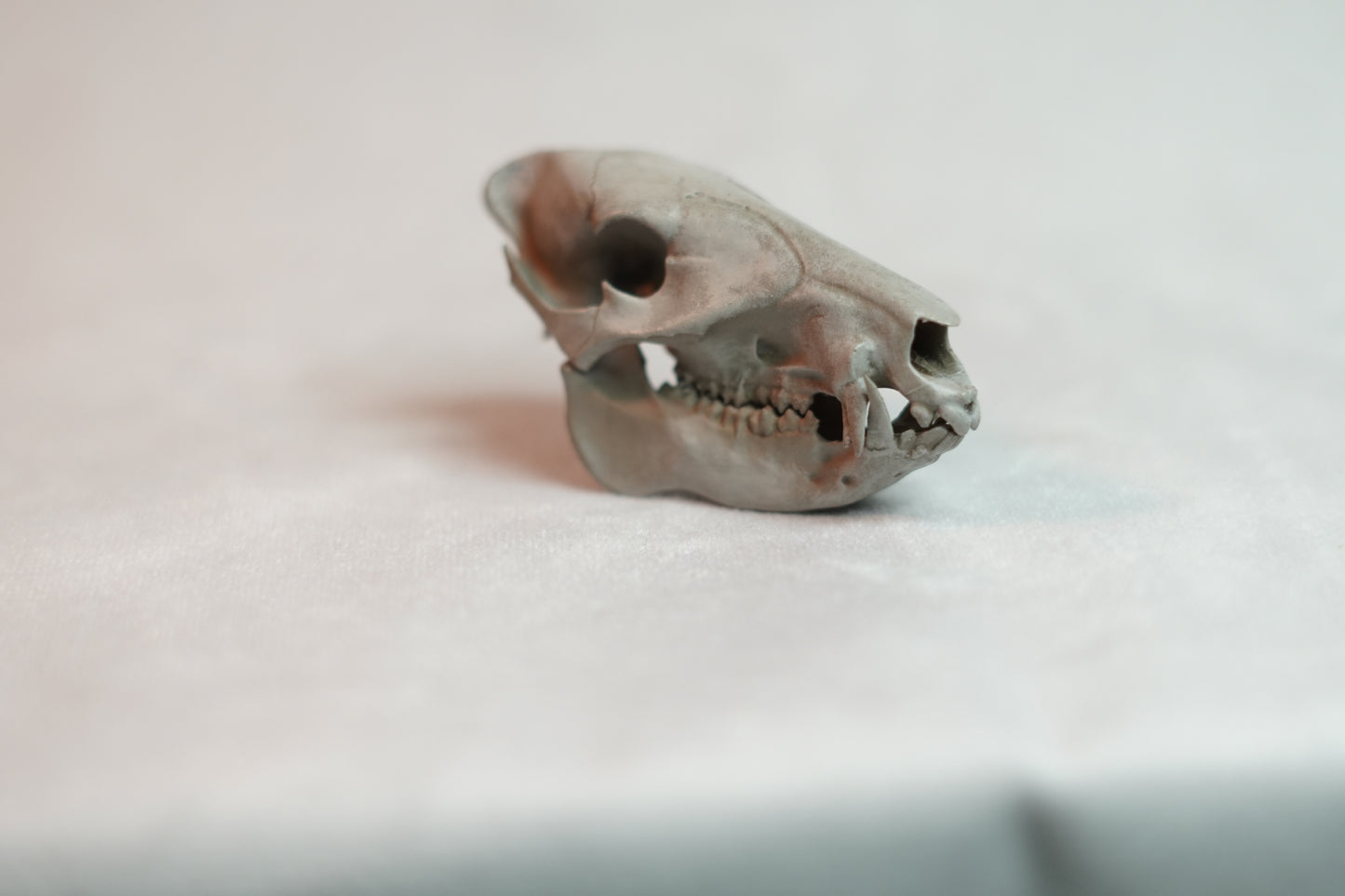 Javelina Euro Mount