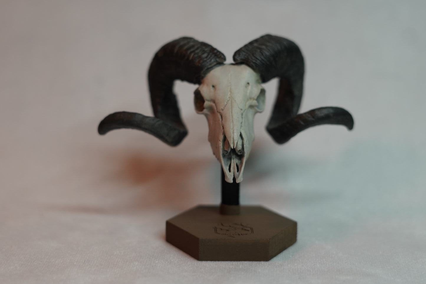 Custom Sheep Euro Mount-Any Species