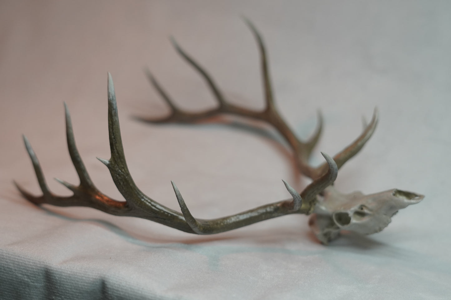 Bull Elk Euro Mount Rogue 9x9