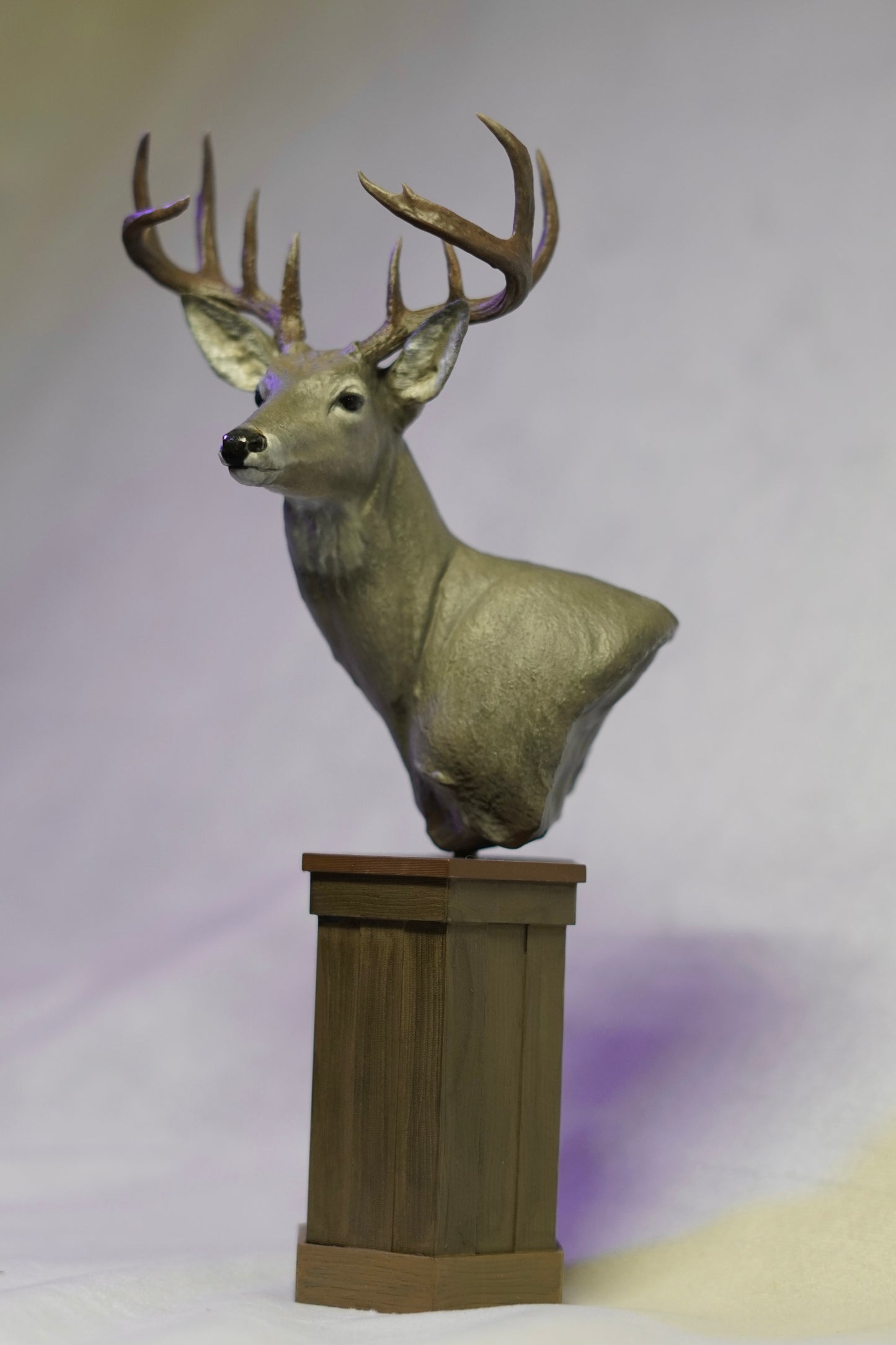 Coues Whitetail Shoulder Mount - The Rogue