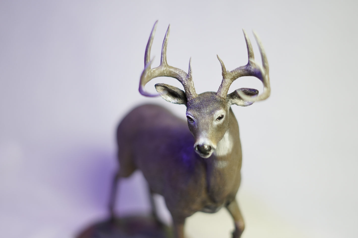 Custom Eastern Whitetail Buck Full Body Mount
