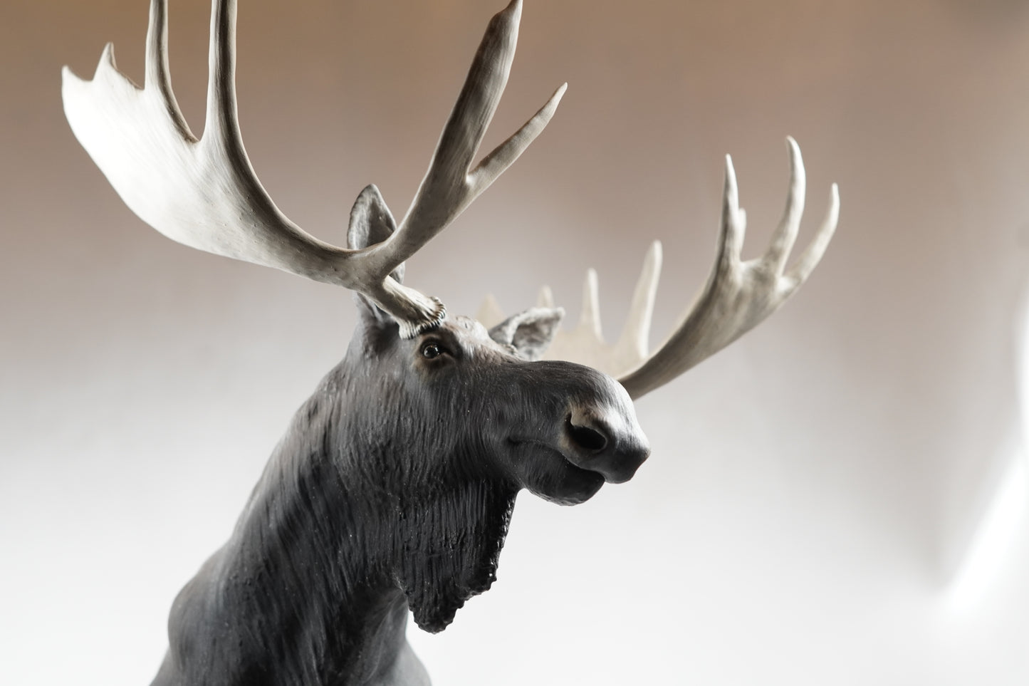 Custom Bull Moose Full Body Mount
