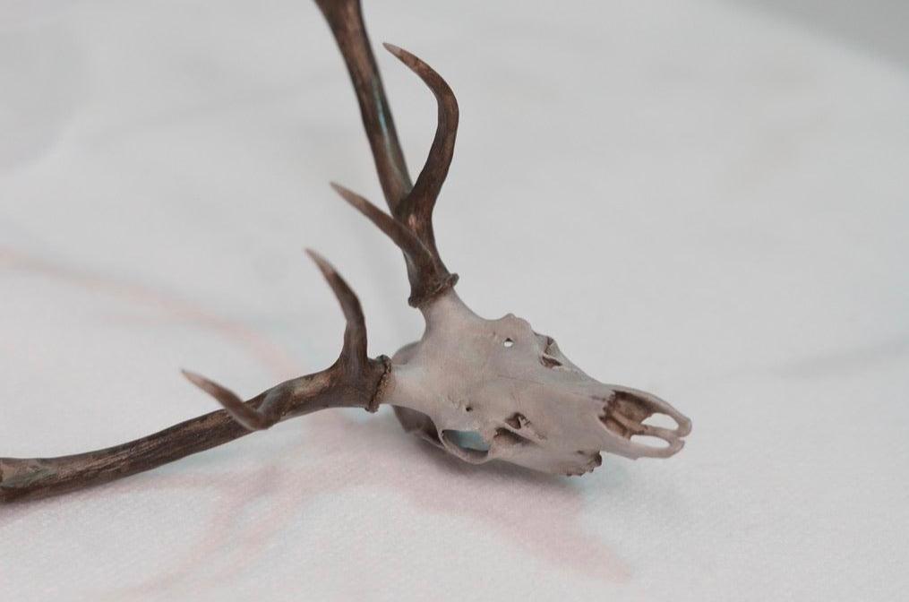 Bull Elk Euro Mount