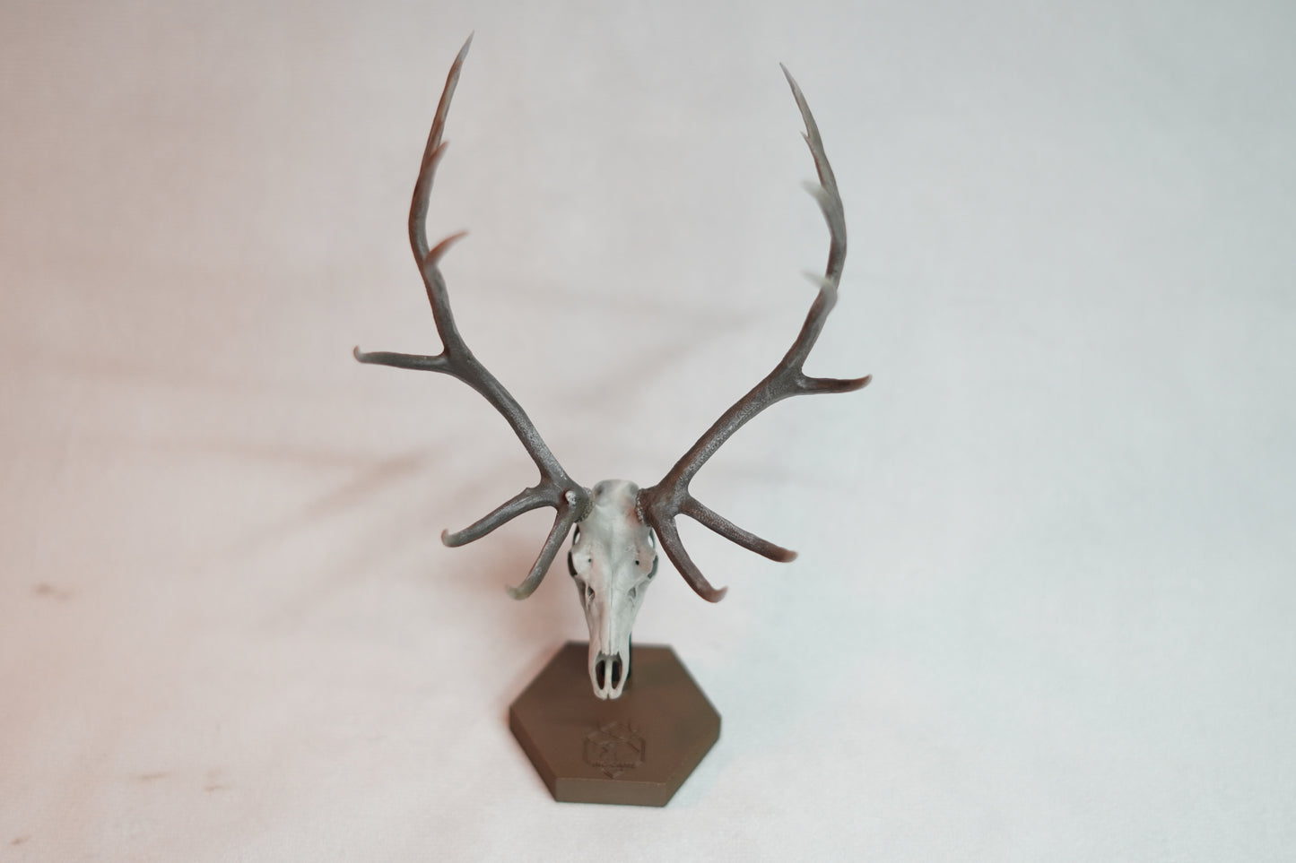 Bull Elk Euro Mount Rogue Big Dead Head