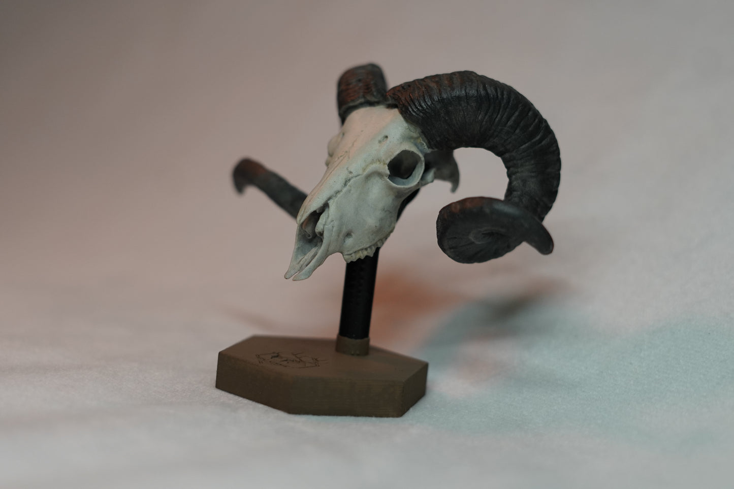 Custom Sheep Euro Mount-Any Species