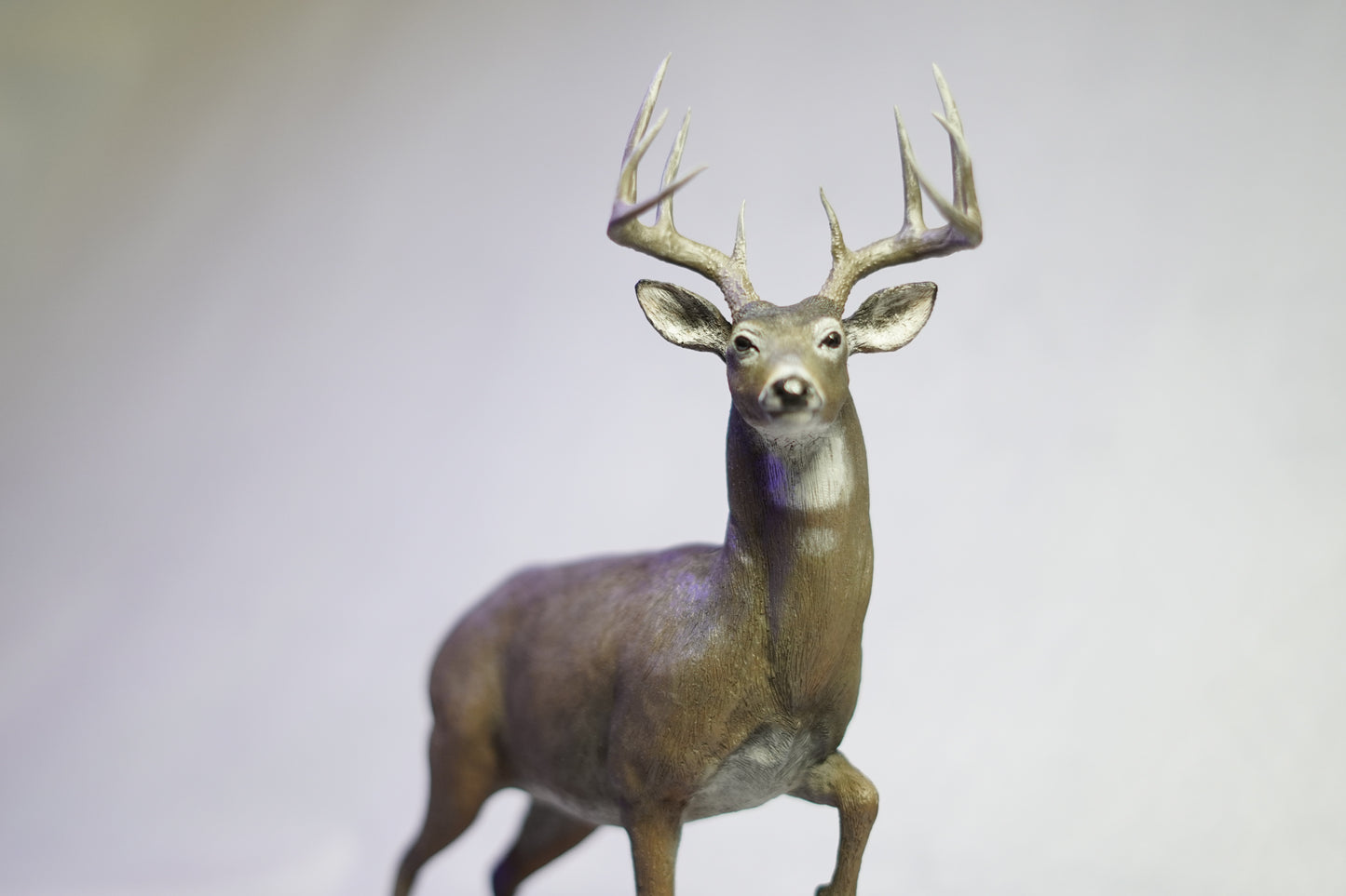 Custom Eastern Whitetail Buck Full Body Mount