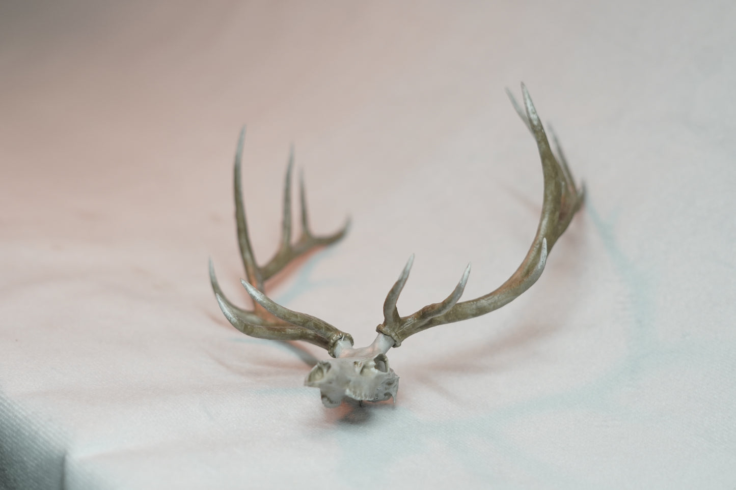 Bull Elk Euro Mount Rogue 9x9