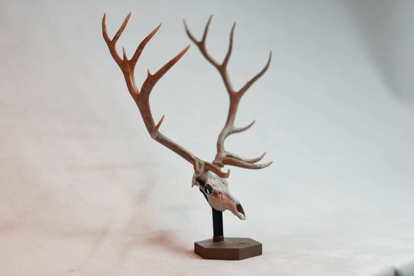 Bull Elk Euro Mount Rogue 9x9