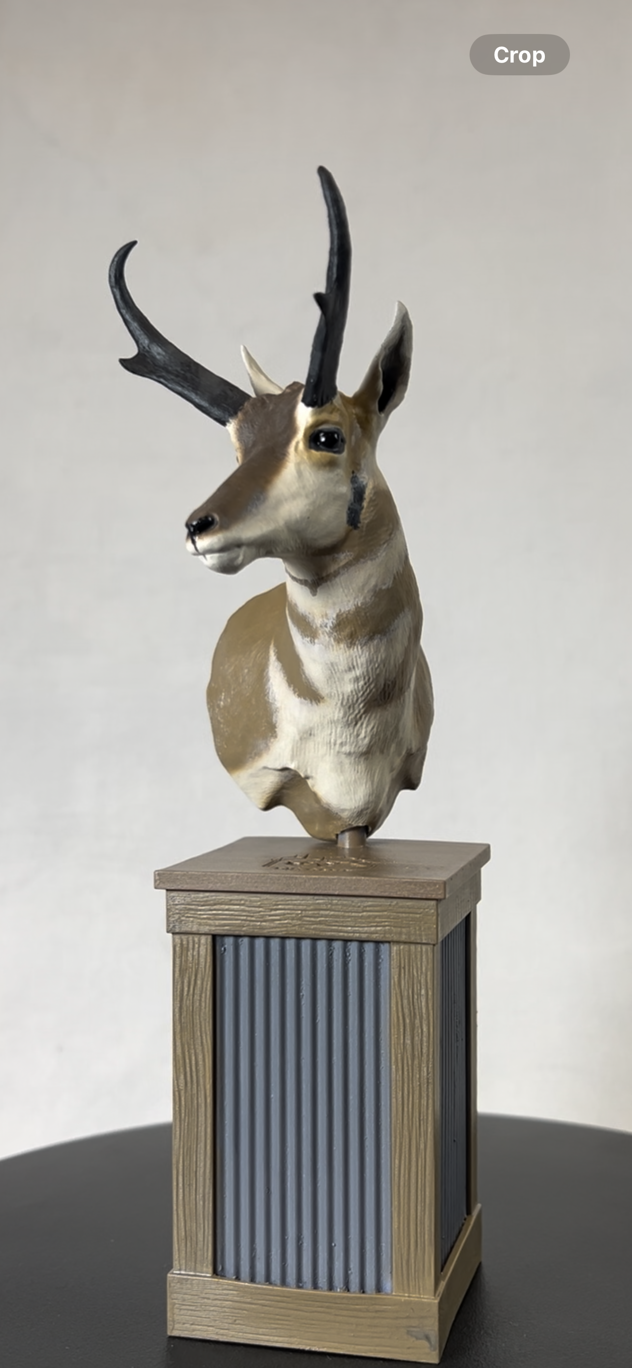 Pronghorn/Antelope Shoulder Mount