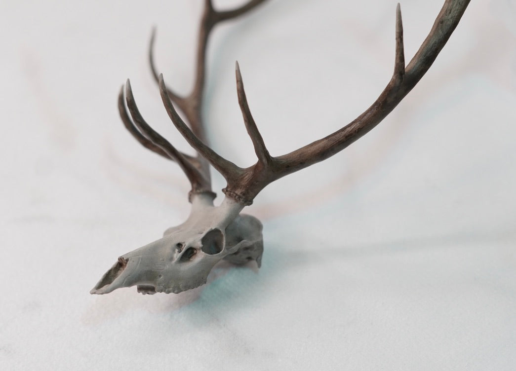 Custom Bull Elk/Stag Euro Mount