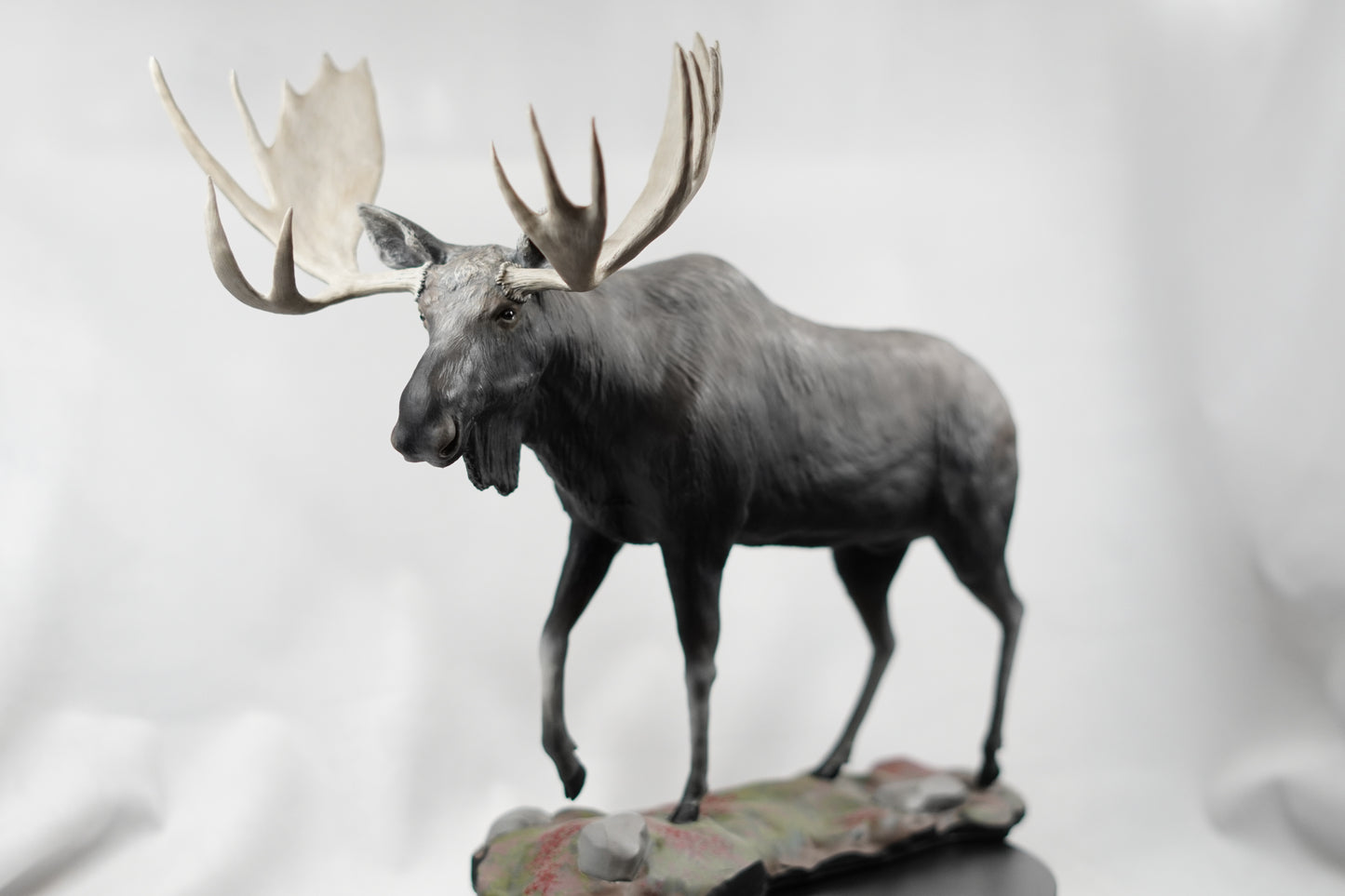 Custom Bull Moose Full Body Mount