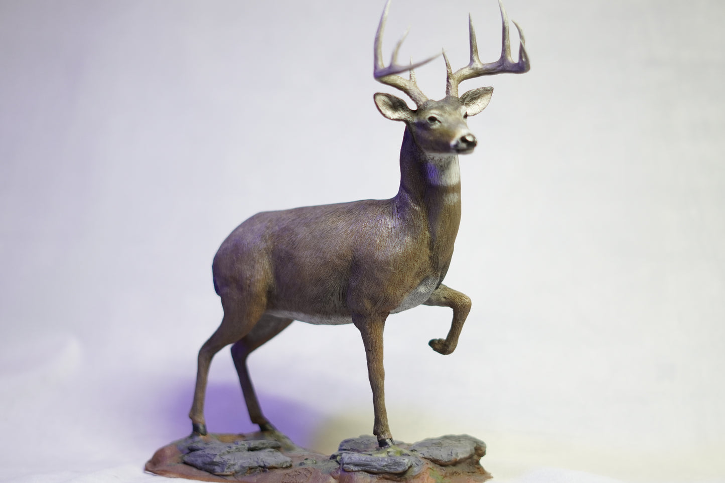 Custom Eastern Whitetail Buck Full Body Mount