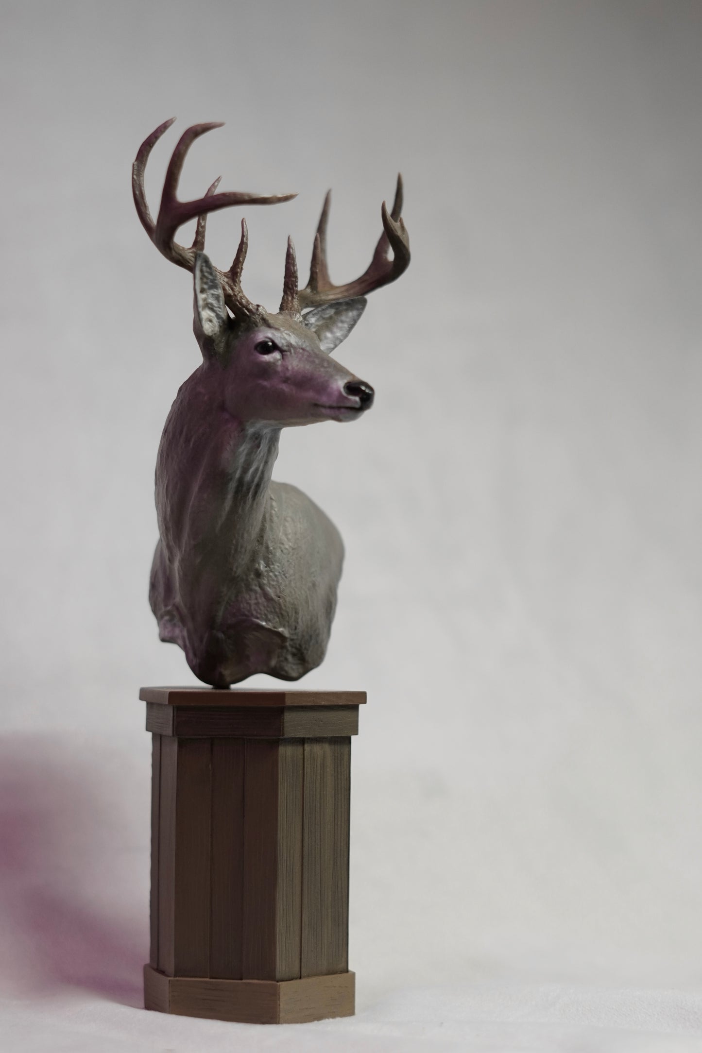 Coues Whitetail Shoulder Mount - The Rogue