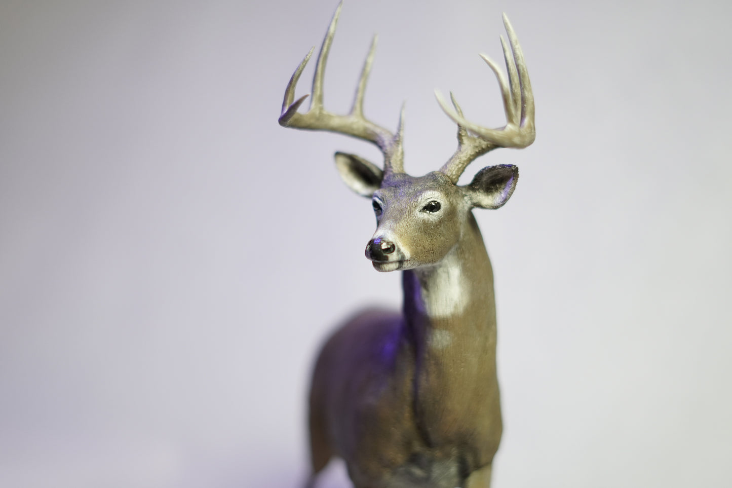 Custom Eastern Whitetail Buck Full Body Mount