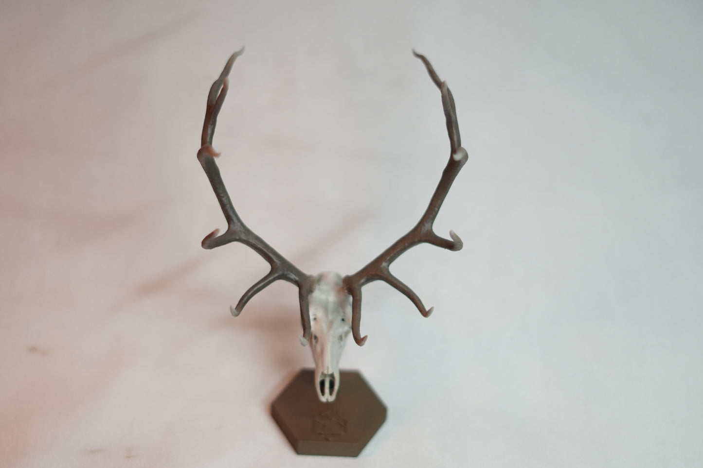 Bull Elk Euro Mount Rogue Long Tines
