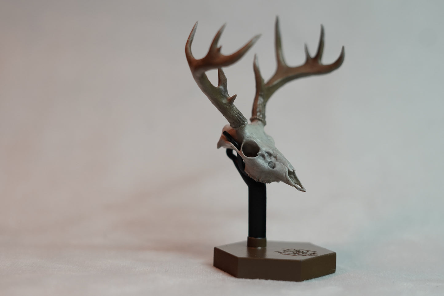 Coues Whitetail Euro Mount