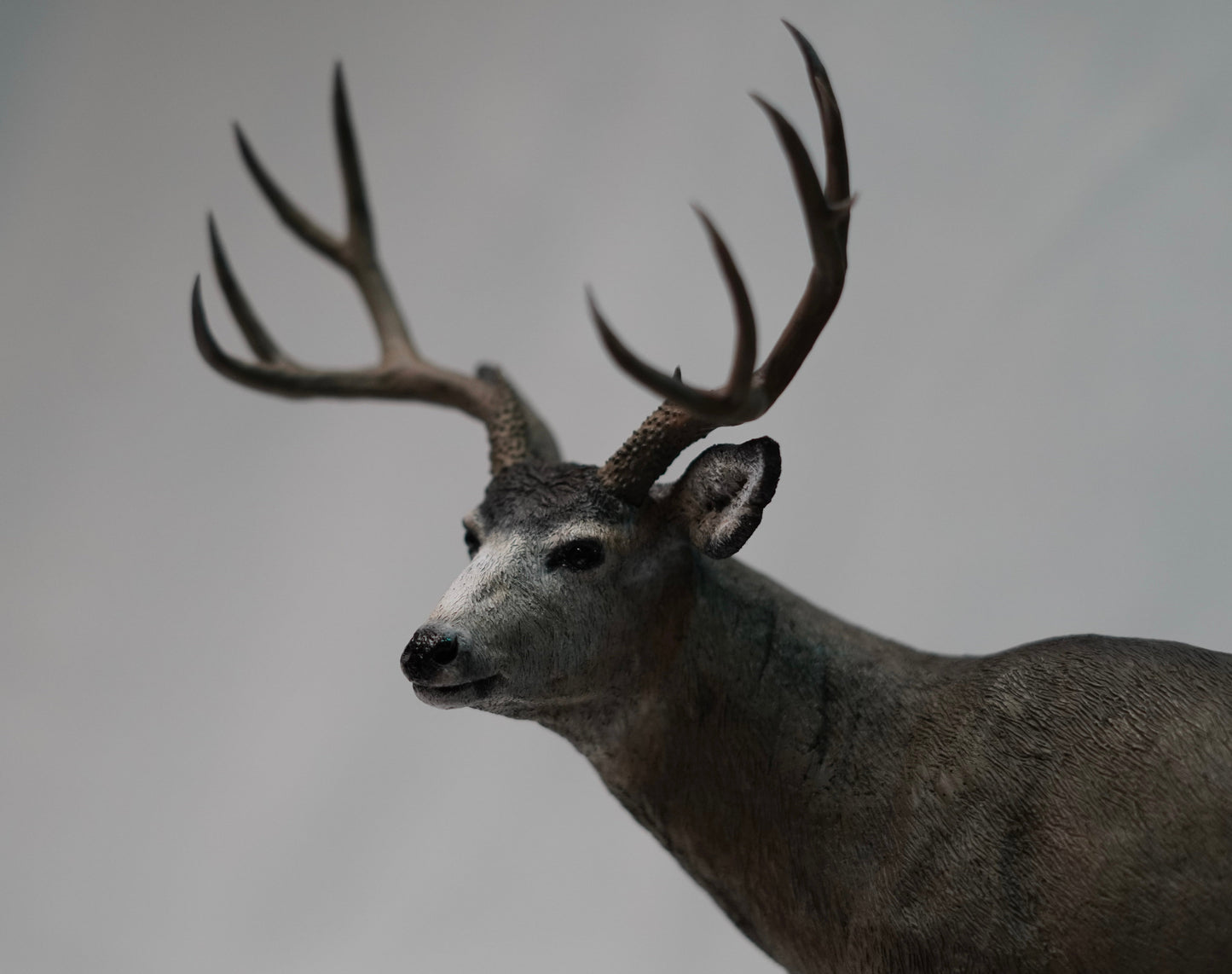 Custom Mule Deer Buck Full Body Mount