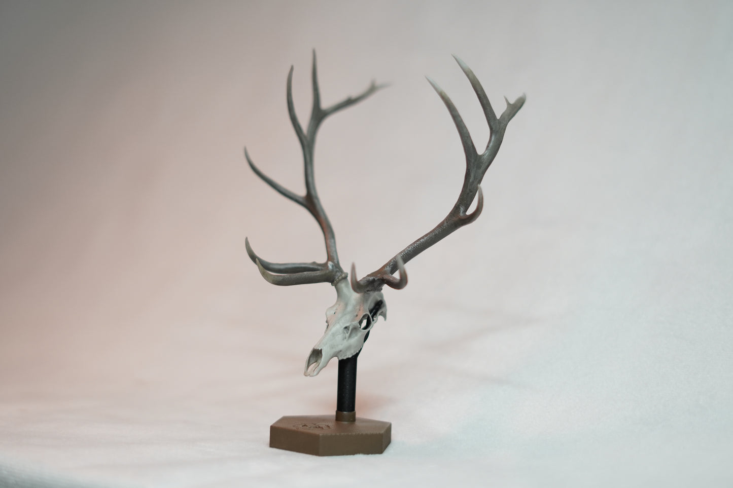 Bull Elk Euro Mount Rogue Big Dead Head