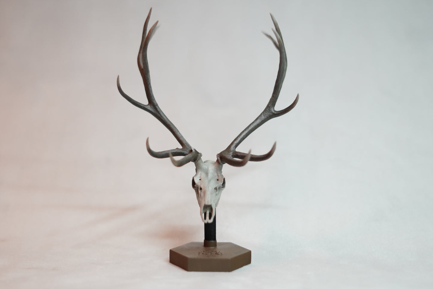 Bull Elk Euro Mount Rogue Big Dead Head