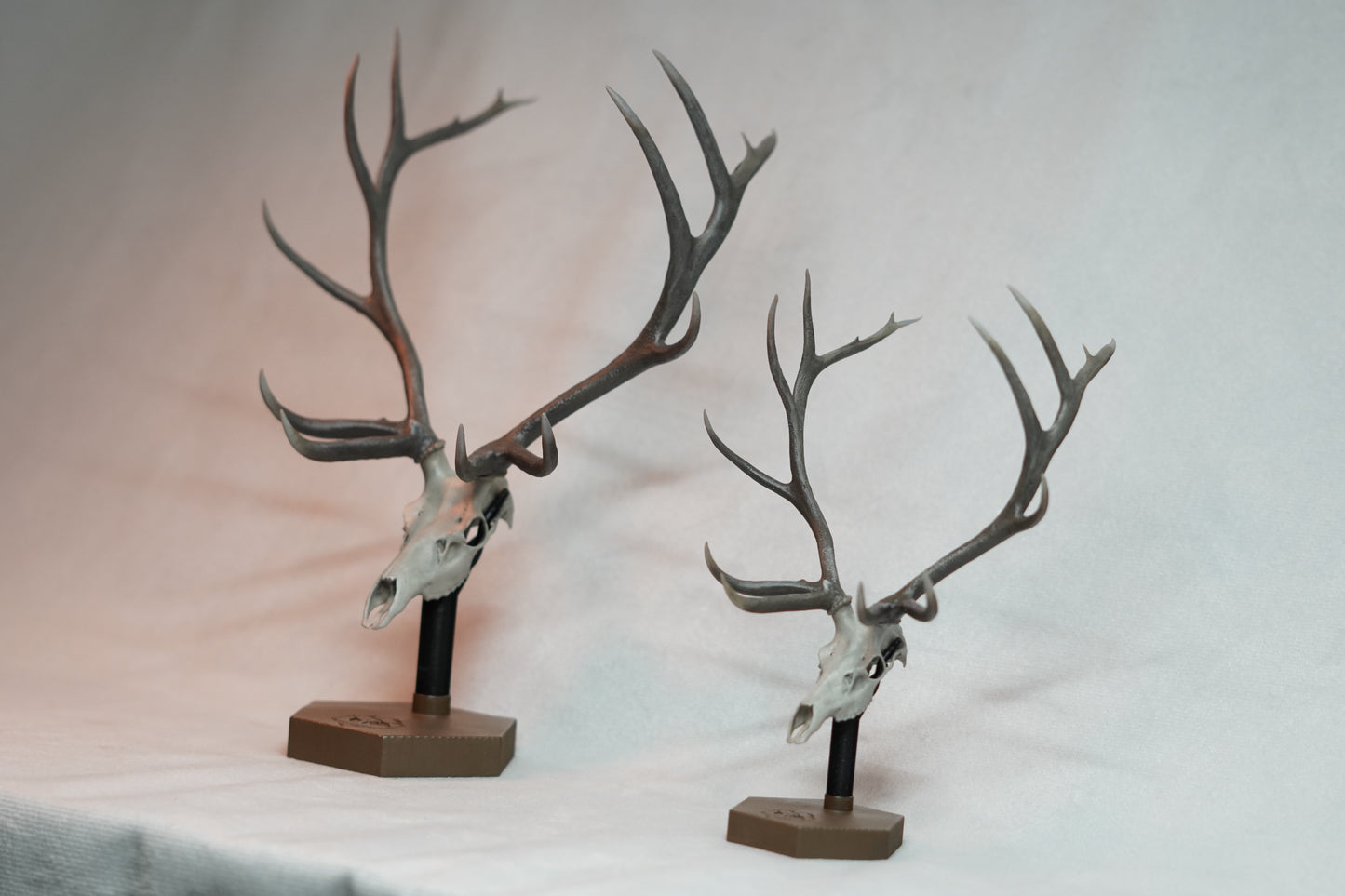 Bull Elk Euro Mount Rogue Big Dead Head