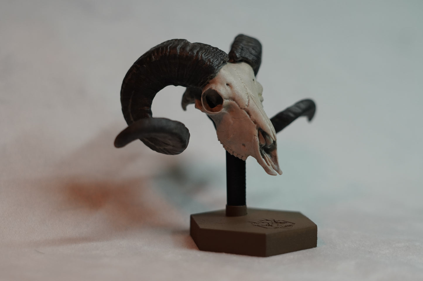 Custom Sheep Euro Mount-Any Species