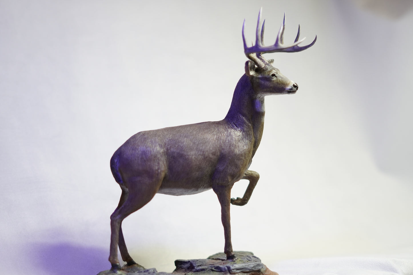 Custom Eastern Whitetail Buck Full Body Mount