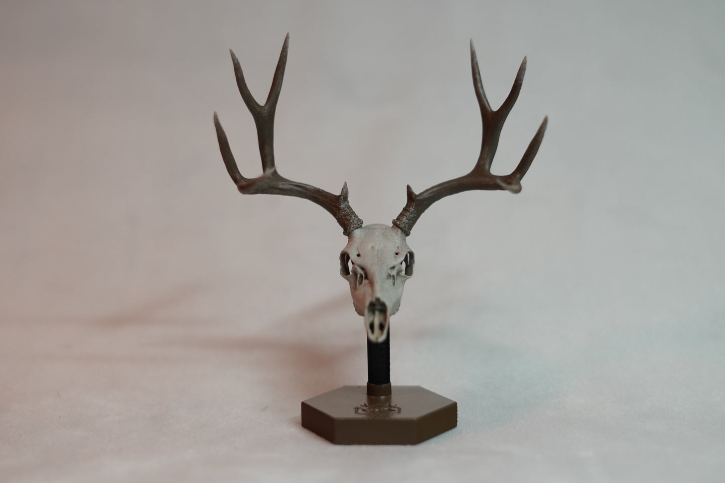 Deer Buck Euro Mount - Any Species