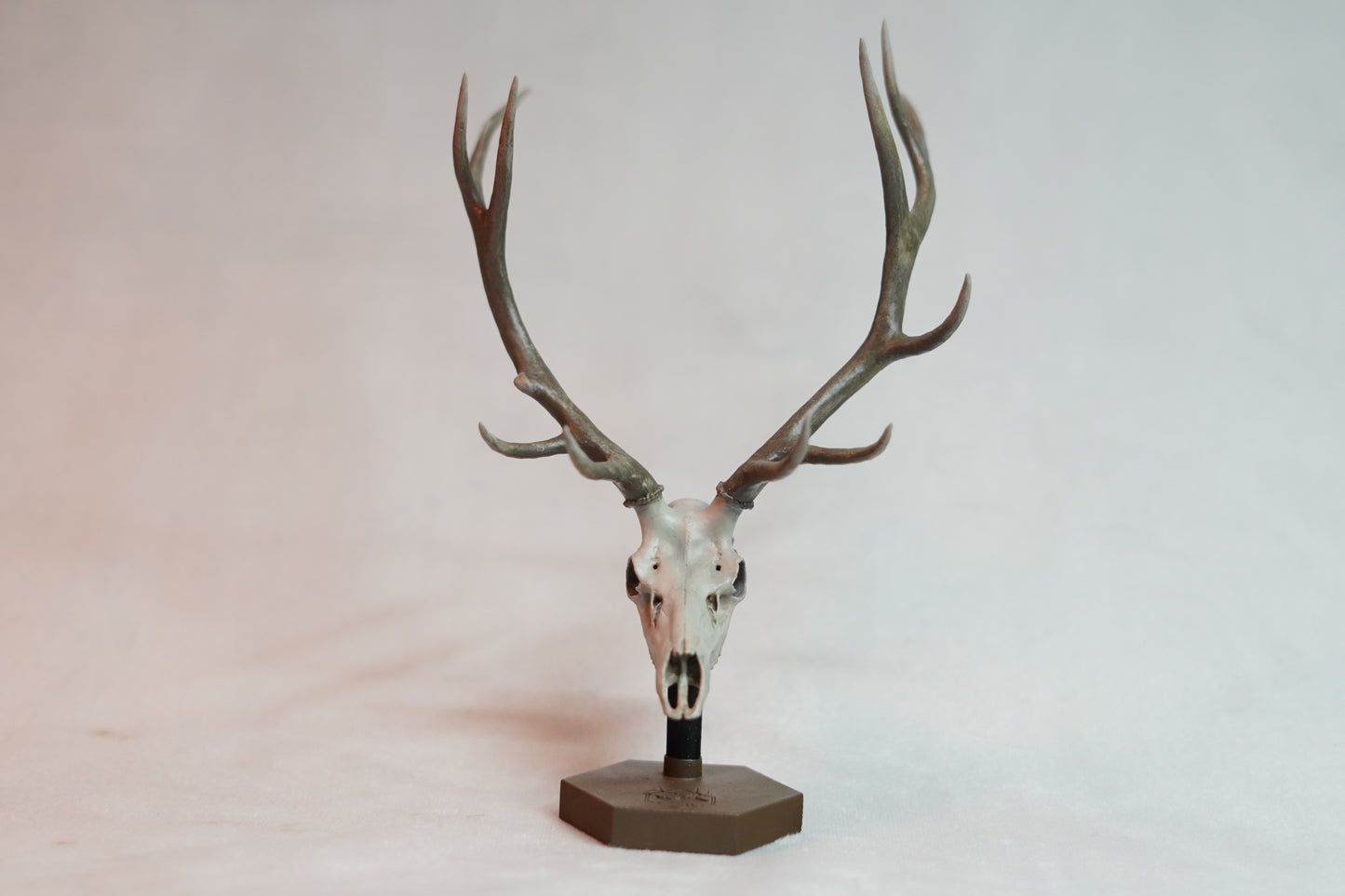 Bull Elk Euro Mount Old Timer