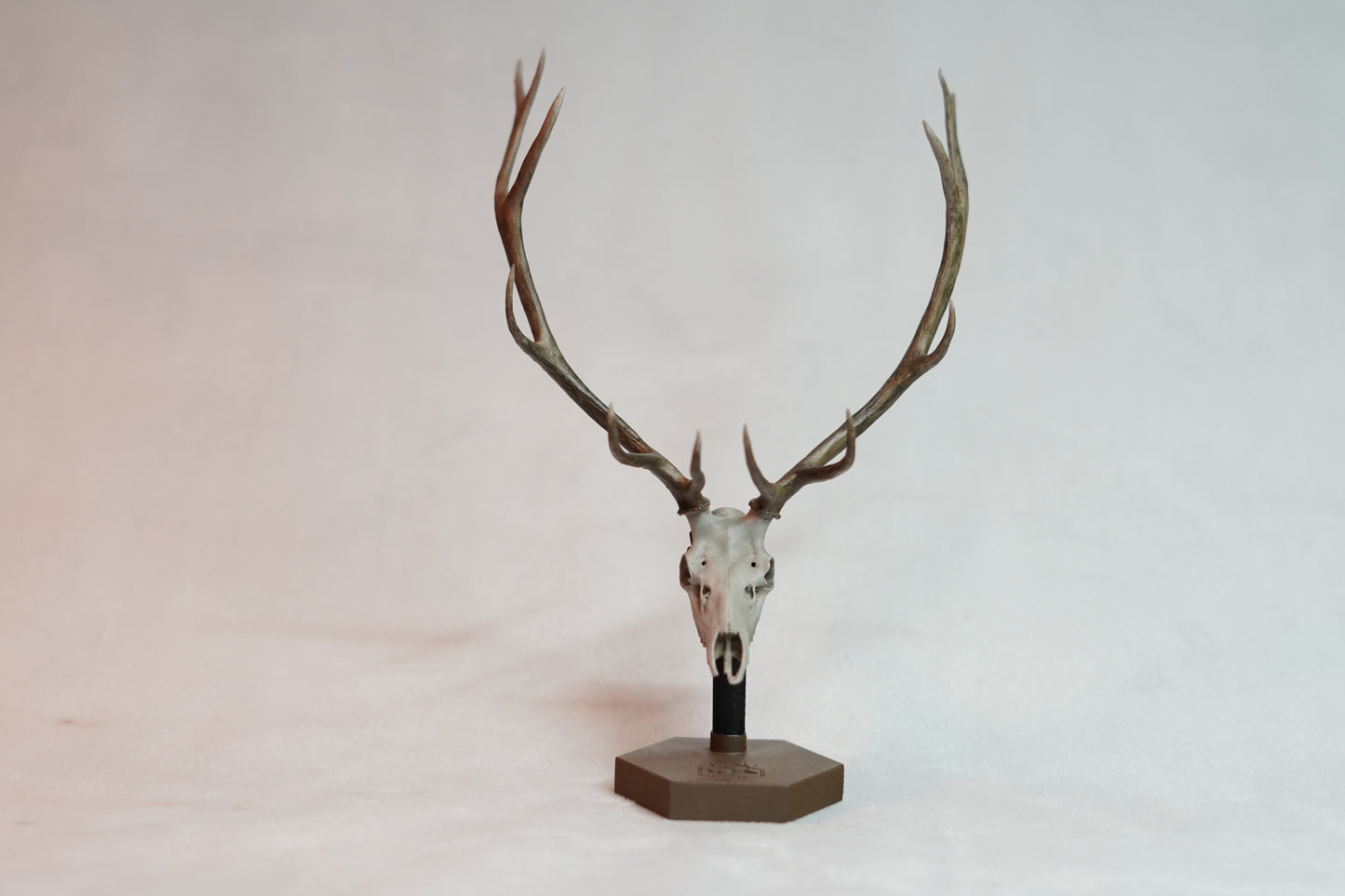 Custom Bull Elk/Stag Euro Mount