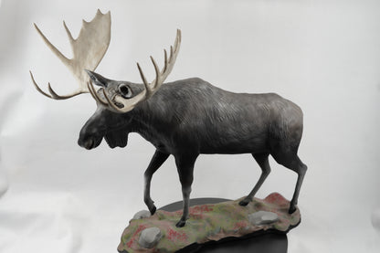 Custom Bull Moose Full Body Mount