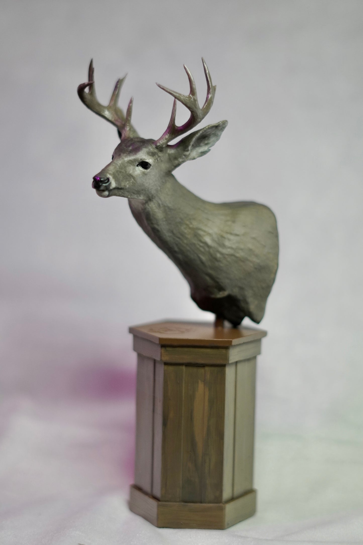 Custom Coues Whitetail Shoulder Mount - Pose 2