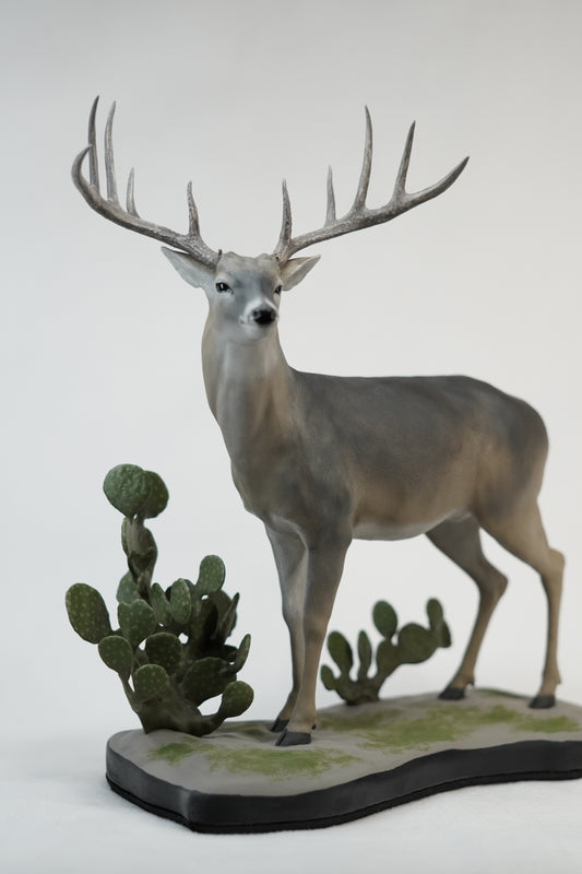 Custom Eastern Whitetail Buck Full Body Mount
