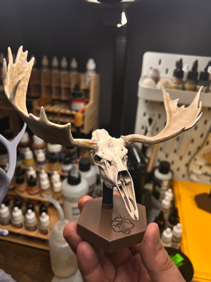 Custom Bull Moose Euro Mount