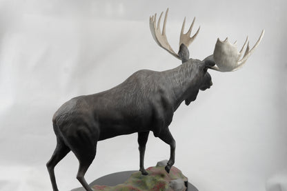 Custom Bull Moose Full Body Mount