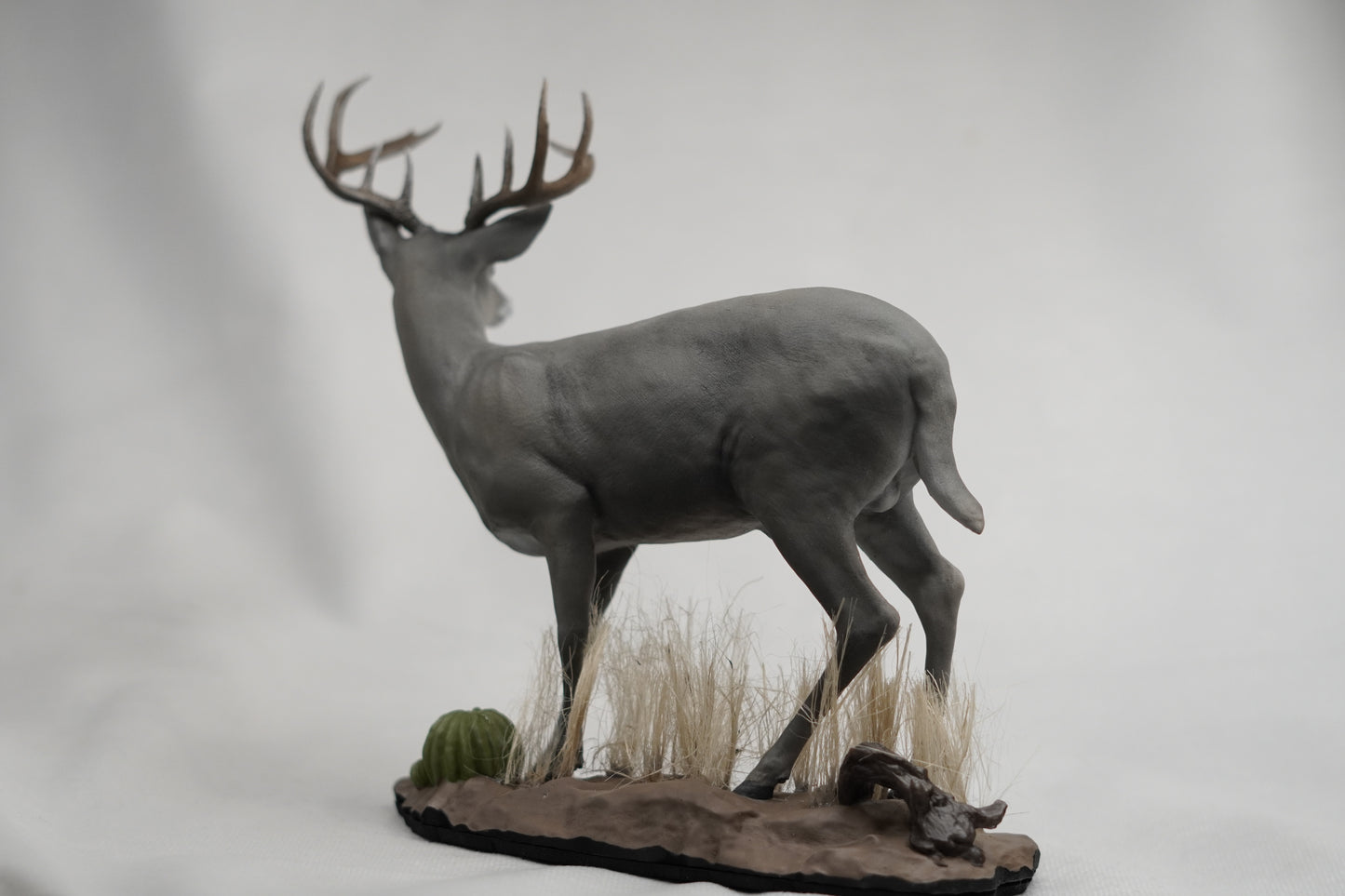 Custom Coues Deer Buck Full Body Mount