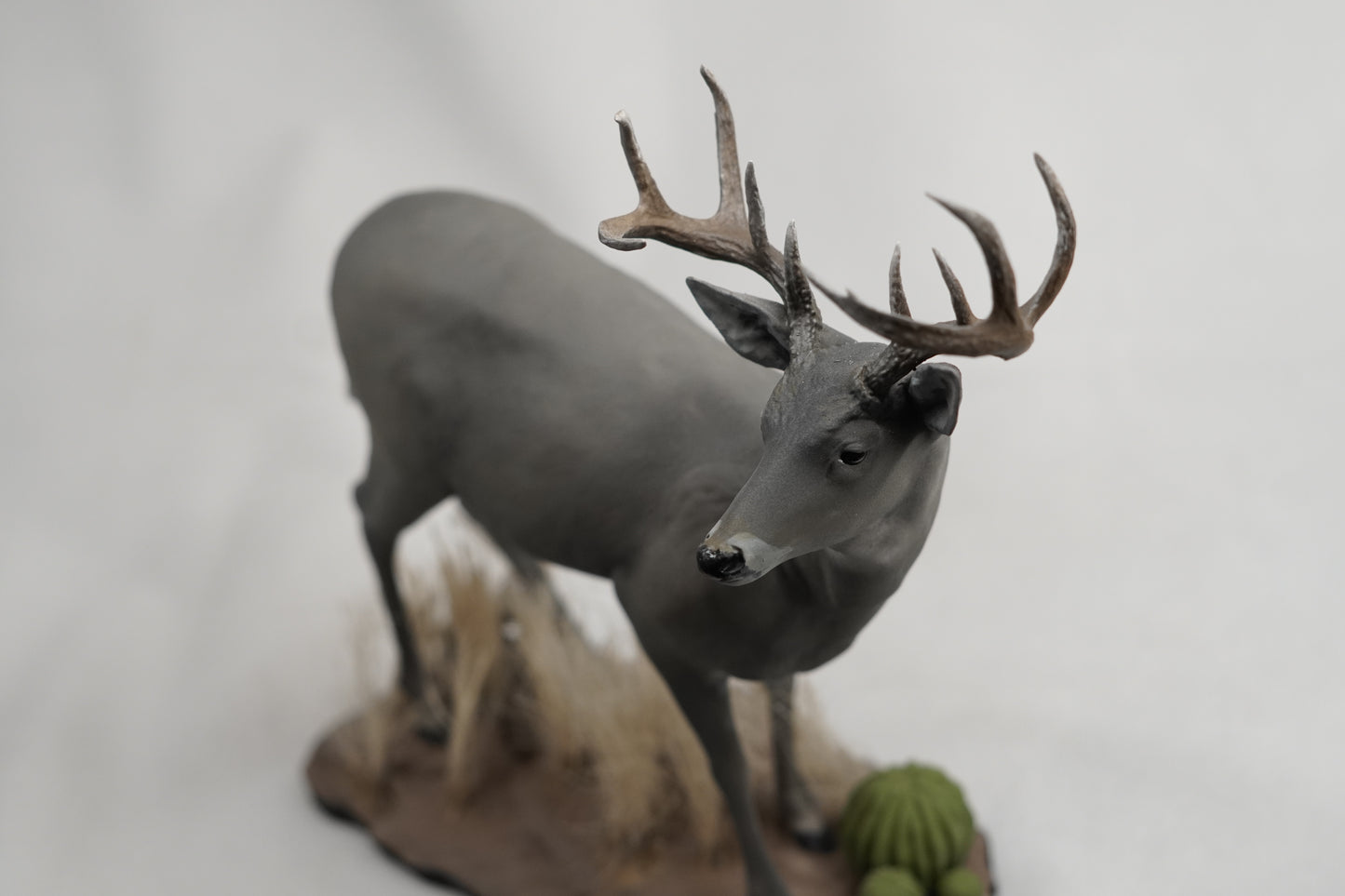 Custom Coues Deer Buck Full Body Mount